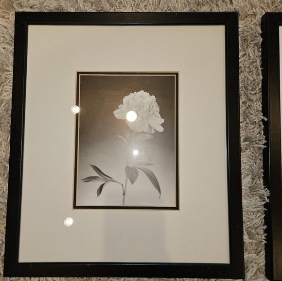3 black and white framed flower pictures - Picture 2 of 12